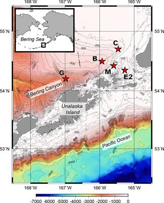 Meiofauna in the southeastern Bering Sea: community composition and structuring environmental factors